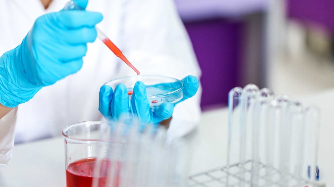 Determinação de Parâmetros Bioquímicos